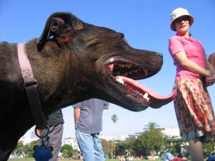 Photobombs and photobombs Photobombs and photobombs