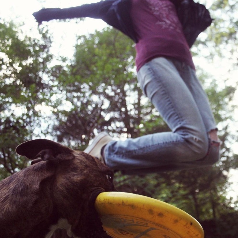 Photobombs and photobombs Photobombs and photobombs