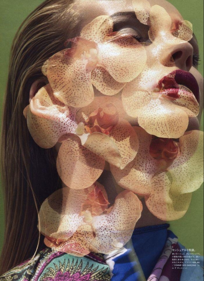 Photograph by Solve Sundsbo Photograph by Solve Sundsbo