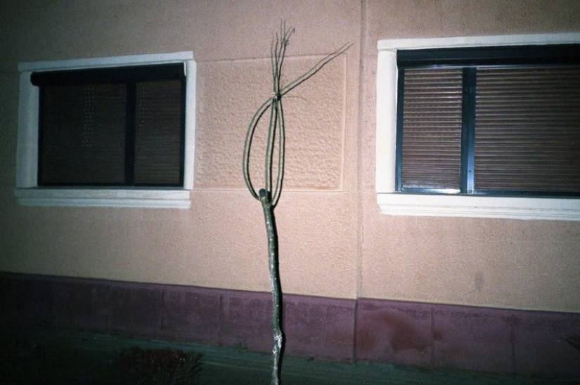 Photographer shows how his hometown in Transylvania is dying