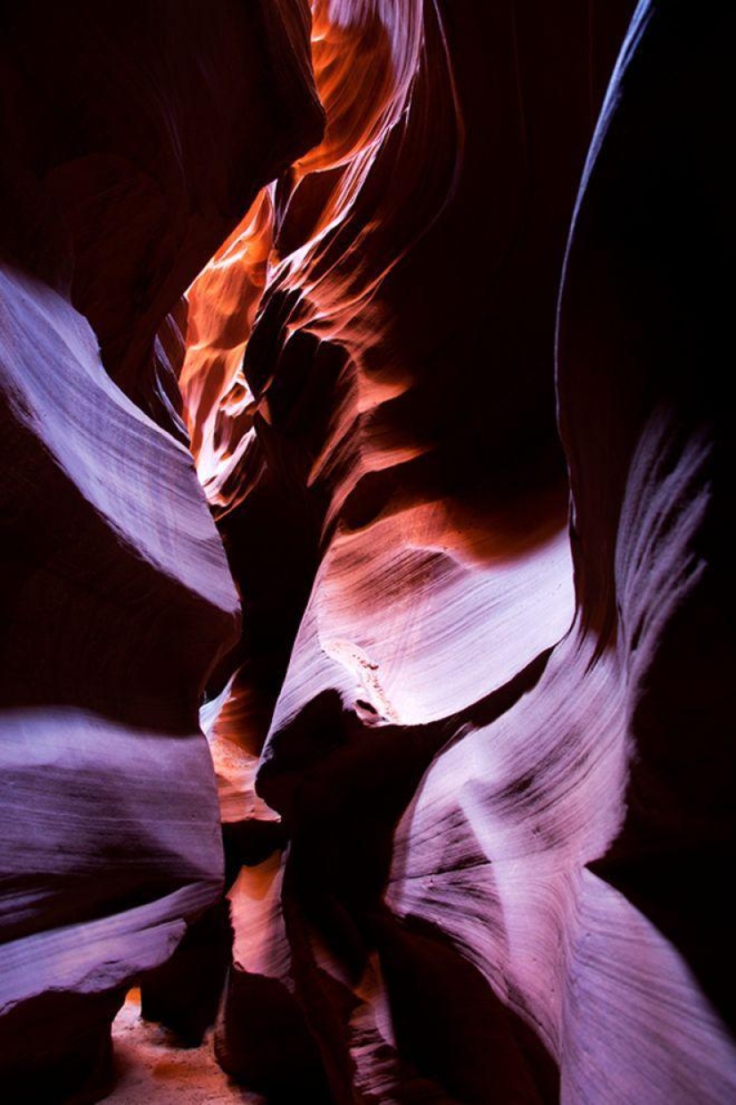 Photographers share their best shot