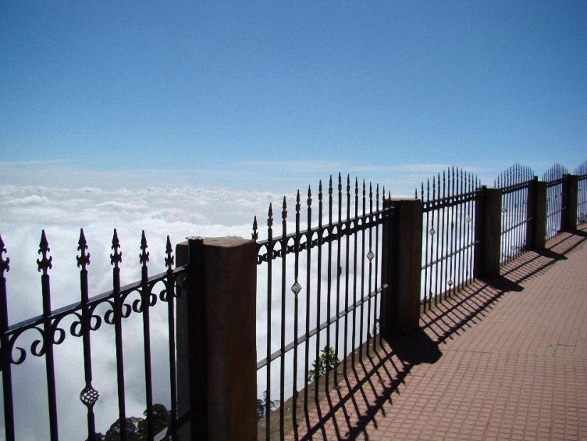 Photographers share their best shot