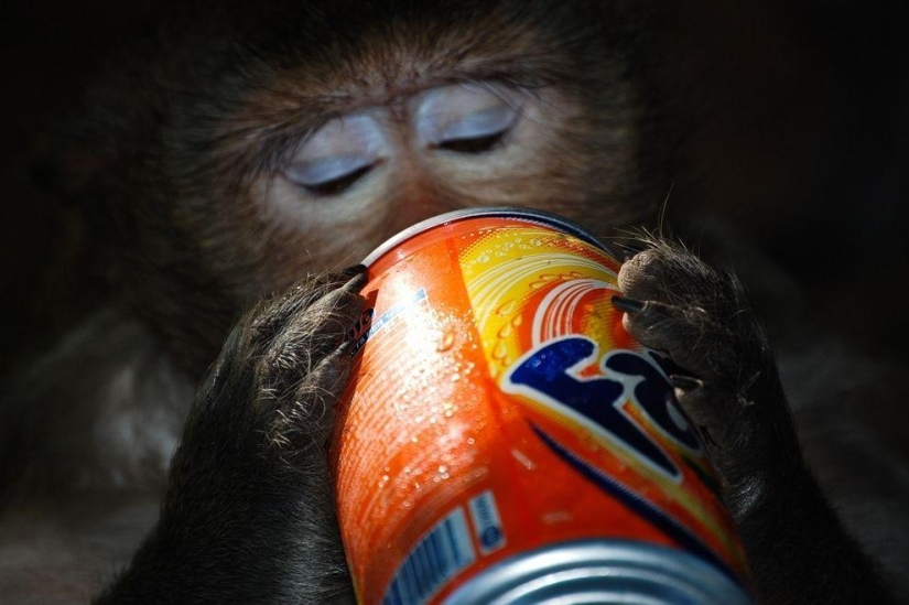 Photographers share their best shot