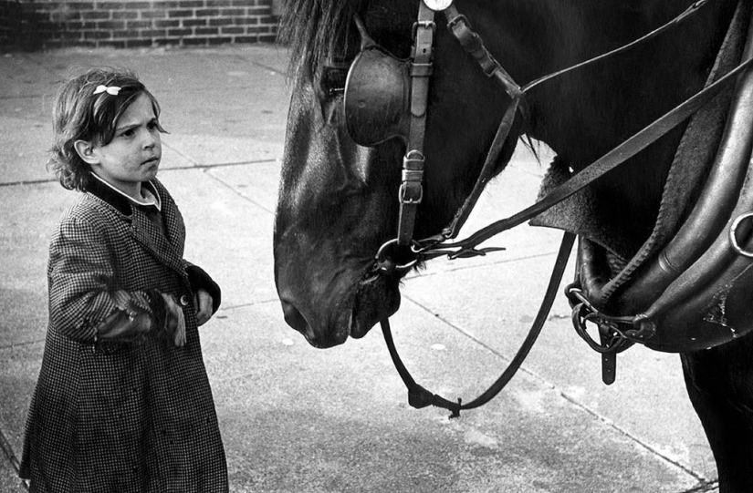 Photography classic: Harold Feinstein Photography classic: Harold Feinstein