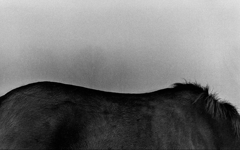 Photography classic: Harold Feinstein Photography classic: Harold Feinstein