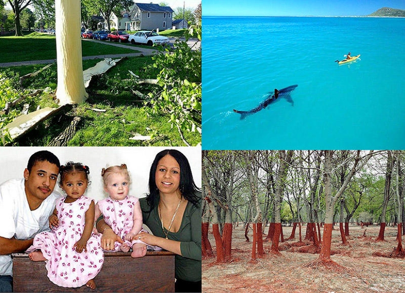 Photos that "blew up" the Internet Photos that "blew up" the Internet