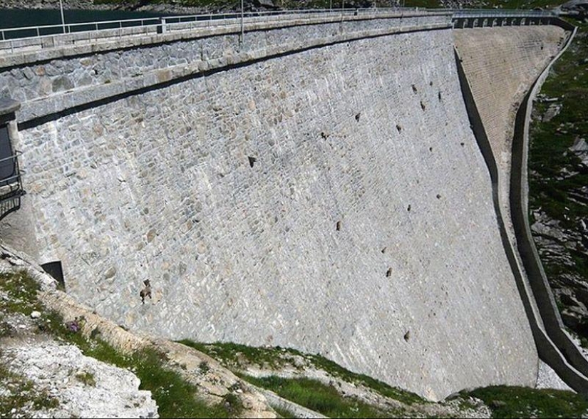 Photos that "blew up" the Internet Photos that "blew up" the Internet