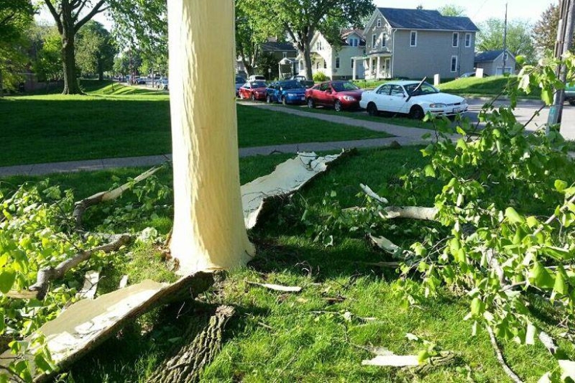 Photos that "blew up" the Internet Photos that "blew up" the Internet