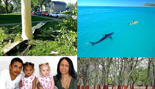 Photos that "blew up" the Internet Photos that "blew up" the Internet