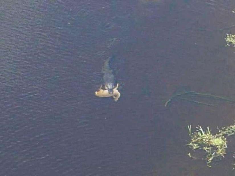 Photos that "blew up" the Internet Photos that "blew up" the Internet