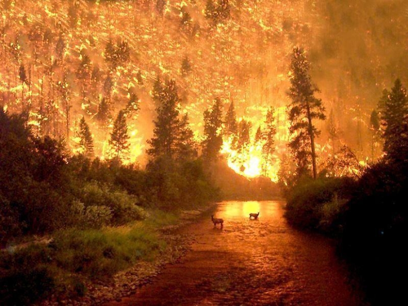 Photos that "blew up" the Internet Photos that "blew up" the Internet