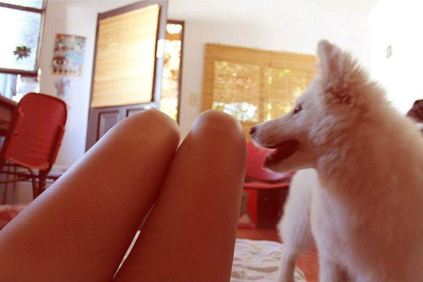 Piernas o salchichas?! Piernas o salchichas?!