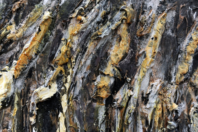 Pinturas de plomo, hierba y dolor: cómo se monta la exposición de Anselm Kiefer en el Museo Estatal del Hermitage