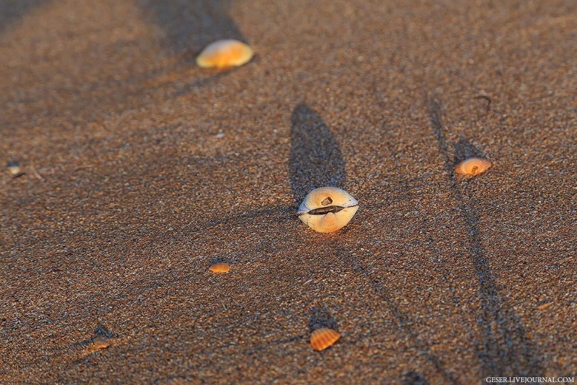 Playas generales de la península de Kerch