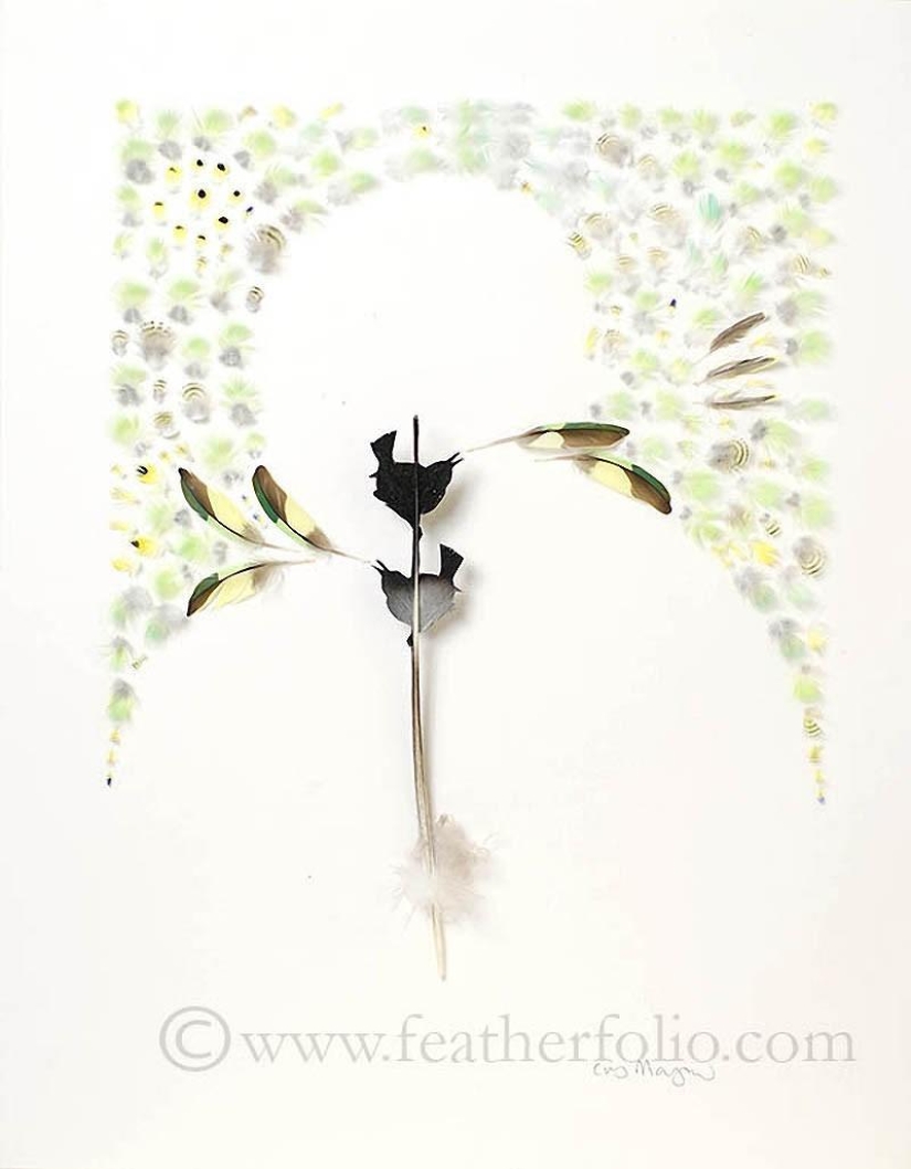 Plumas como arte