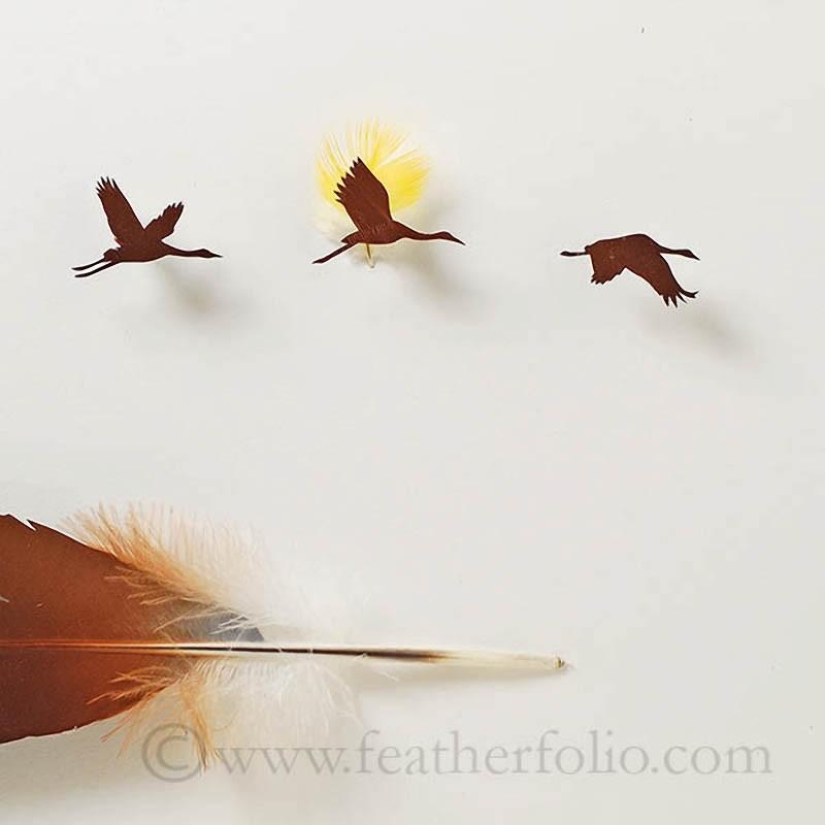 Plumas como arte