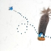 Plumas como arte Plumas como arte