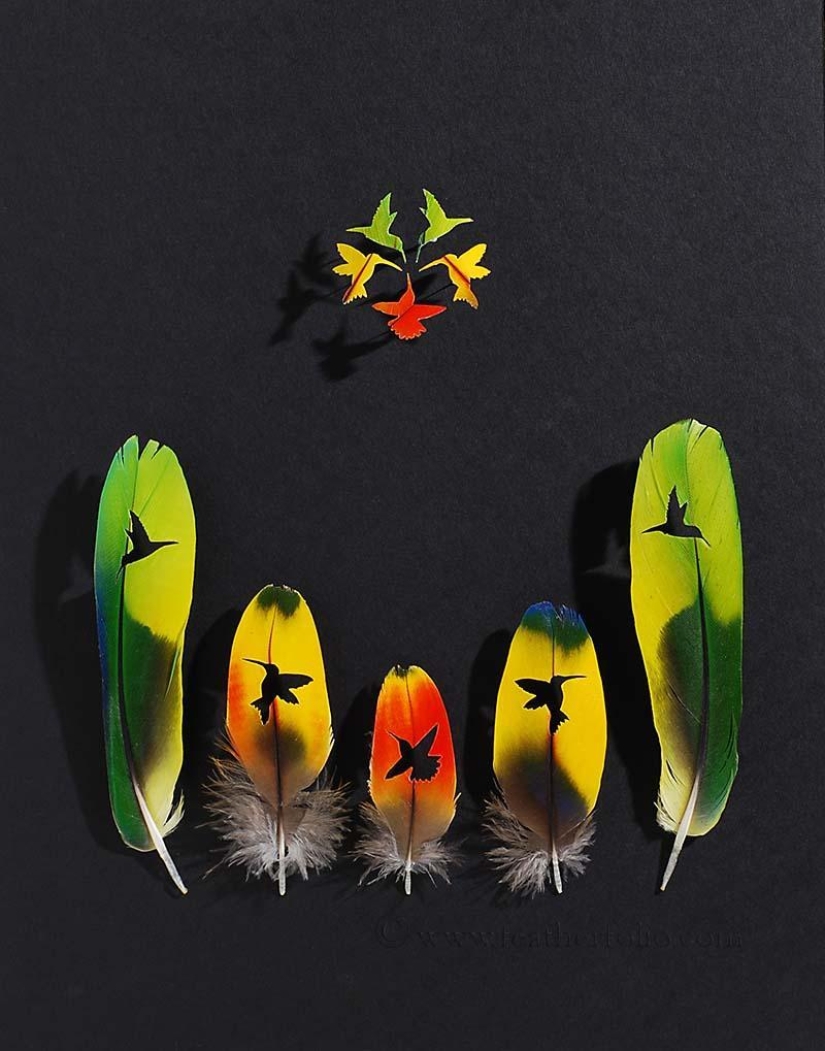 Plumas como arte