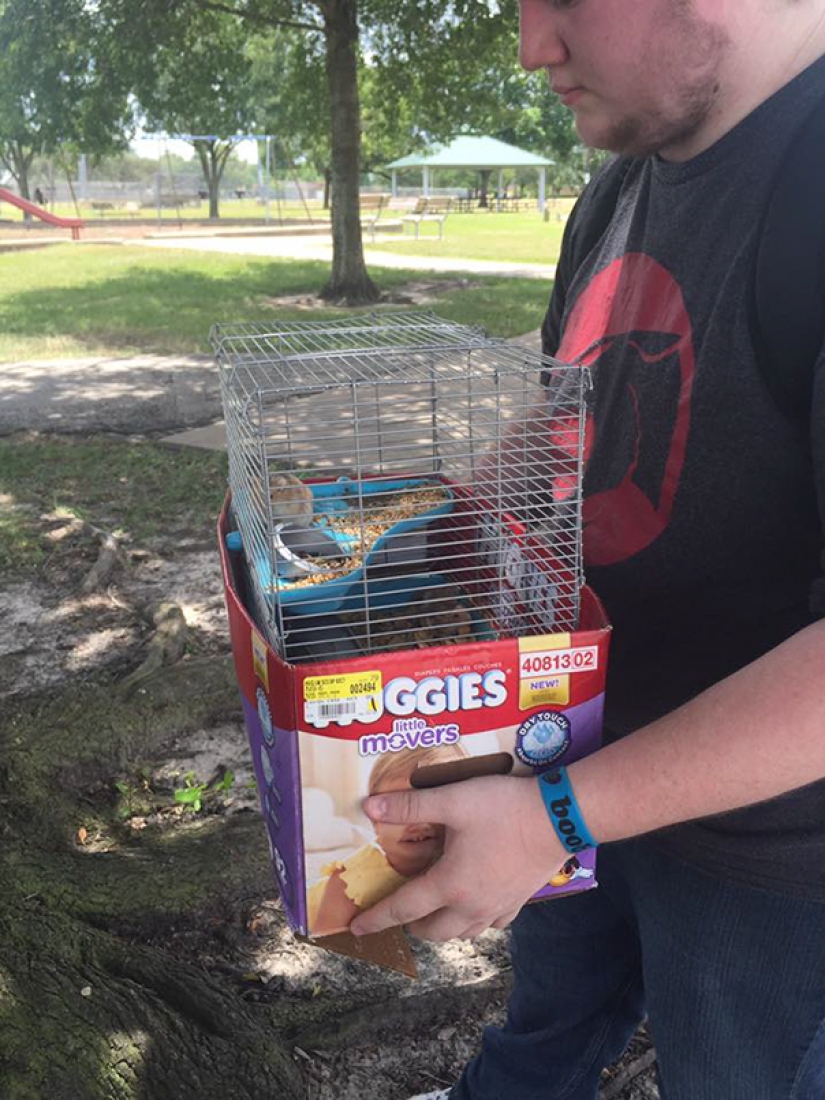 Pokemon Hunters saved 27 abandoned rodents from death