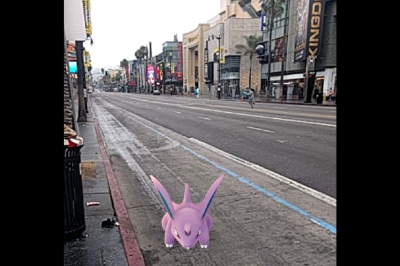 Pokemon, Vete, o Las Historias Más Extrañas Relacionadas con Pokemon Go