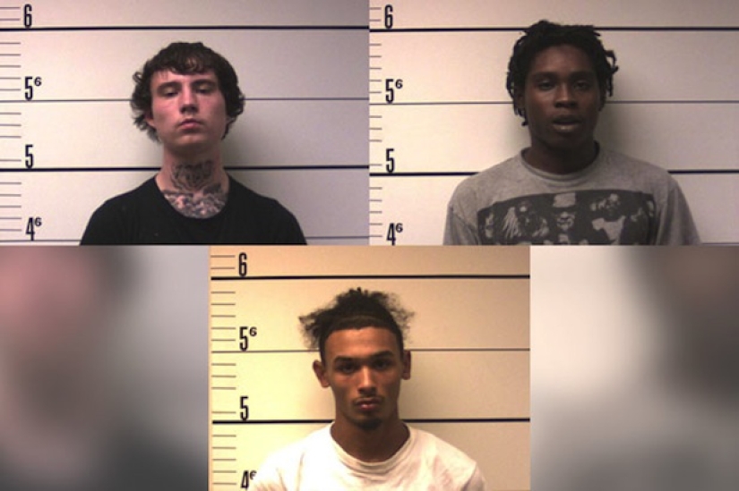 Pokemon, Vete, o Las Historias Más Extrañas Relacionadas con Pokemon Go