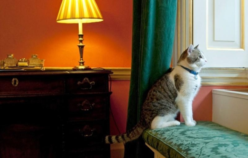 Políticos famosos y sus mascotas de cuatro patas Políticos famosos y sus mascotas de cuatro patas