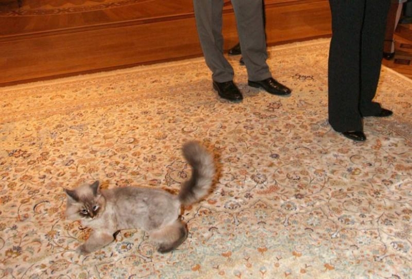 Políticos famosos y sus mascotas de cuatro patas Políticos famosos y sus mascotas de cuatro patas