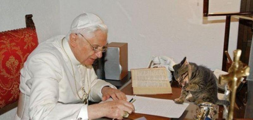 Políticos famosos y sus mascotas de cuatro patas Políticos famosos y sus mascotas de cuatro patas