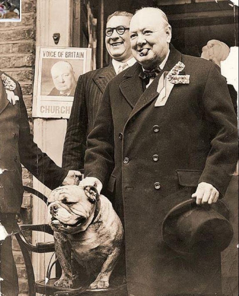 Políticos famosos y sus mascotas de cuatro patas Políticos famosos y sus mascotas de cuatro patas