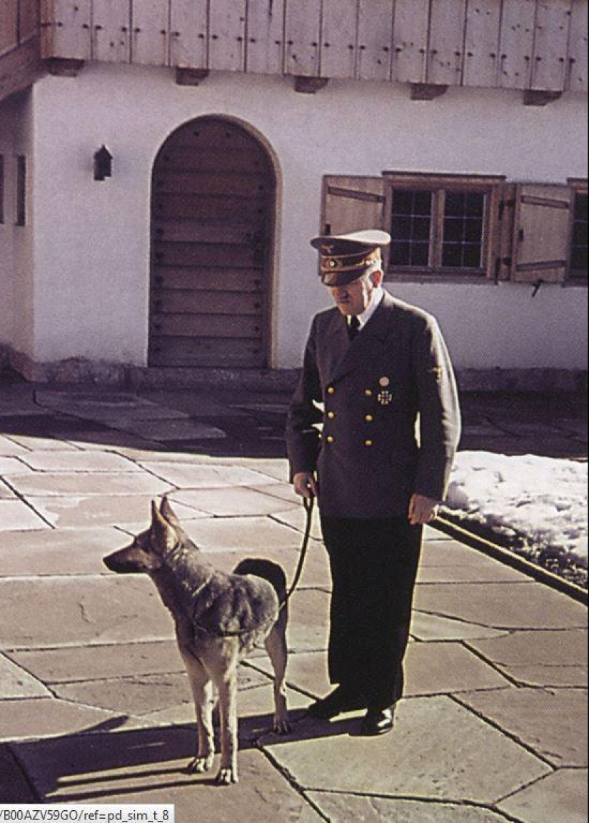 Políticos famosos y sus mascotas de cuatro patas Políticos famosos y sus mascotas de cuatro patas