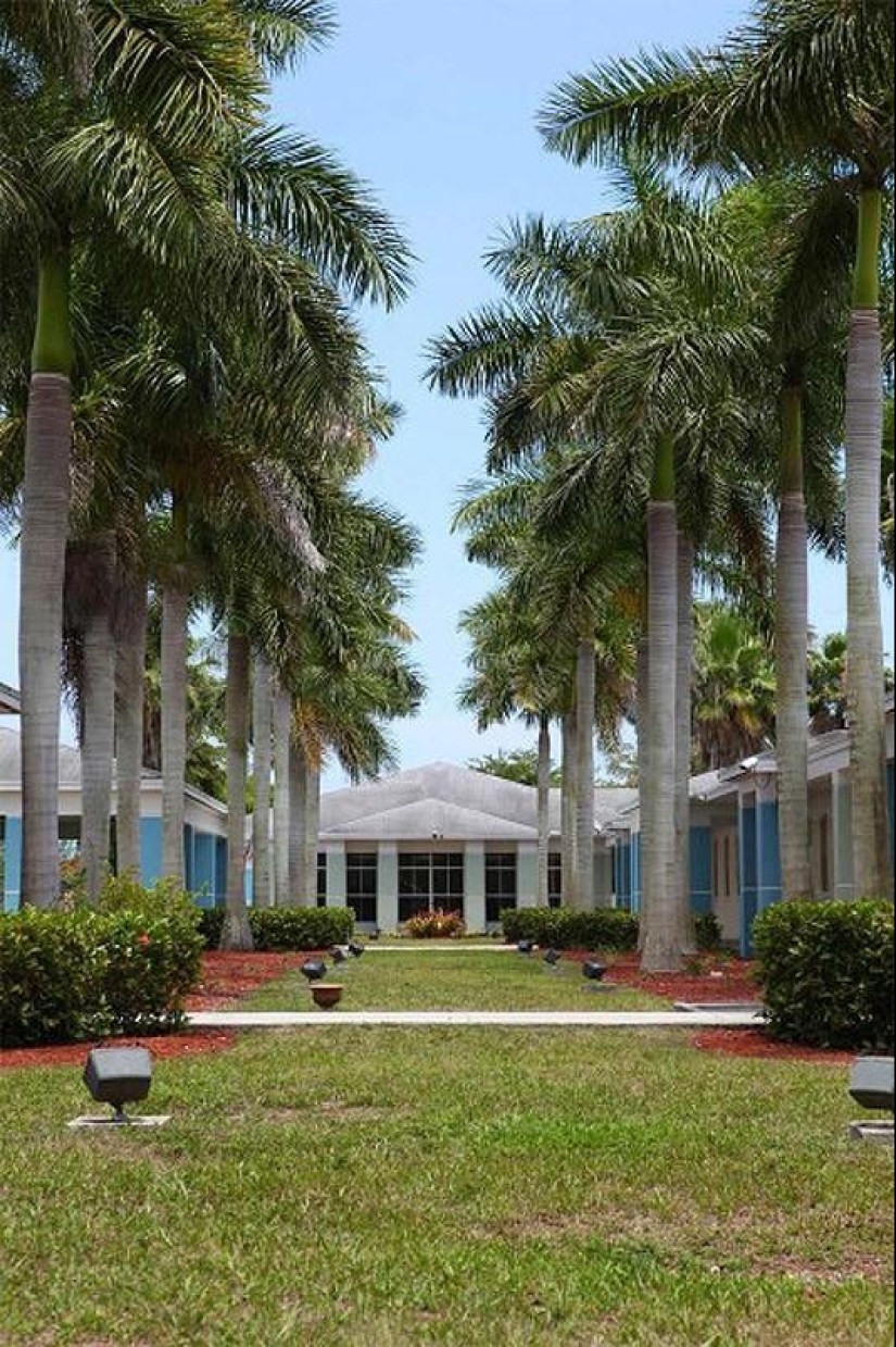 Poor and homeless Americans - how do they live? Poor and homeless Americans - how do they live?