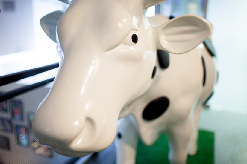 Popov no se avergüenza: cómo funciona la estación de radio Silver Rain Popov no se avergüenza: cómo funciona la estación de radio Silver Rain