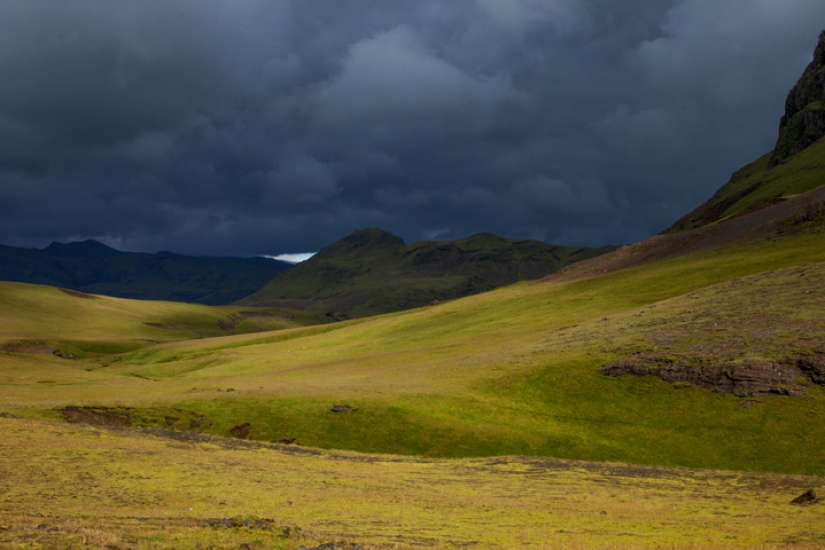 Por qué a este artista le gusta correr con caballos por los campos en lo que la madre dio a luz
