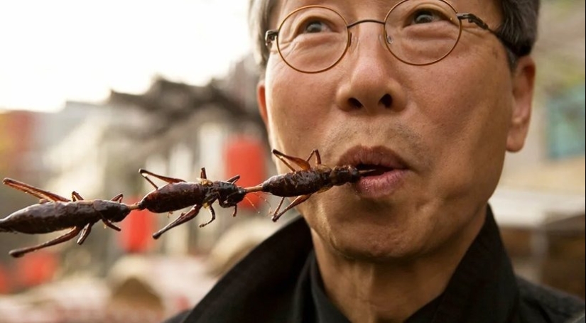 ¿Por qué los chinos comen insectos y alimentos "extraños" que asustan a las personas civilizadas?