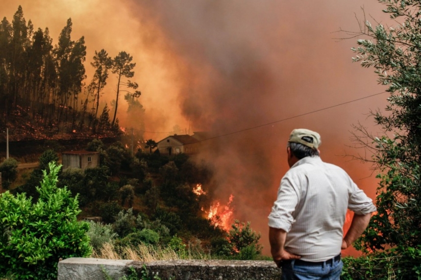 Portugal is suffering from the largest fire in the last 50 years Portugal is suffering from the largest fire in the last 50 years