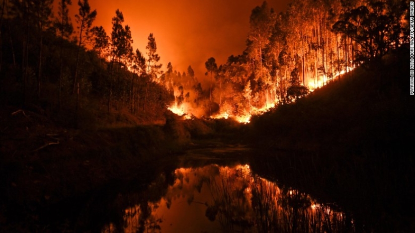 Portugal is suffering from the largest fire in the last 50 years Portugal is suffering from the largest fire in the last 50 years