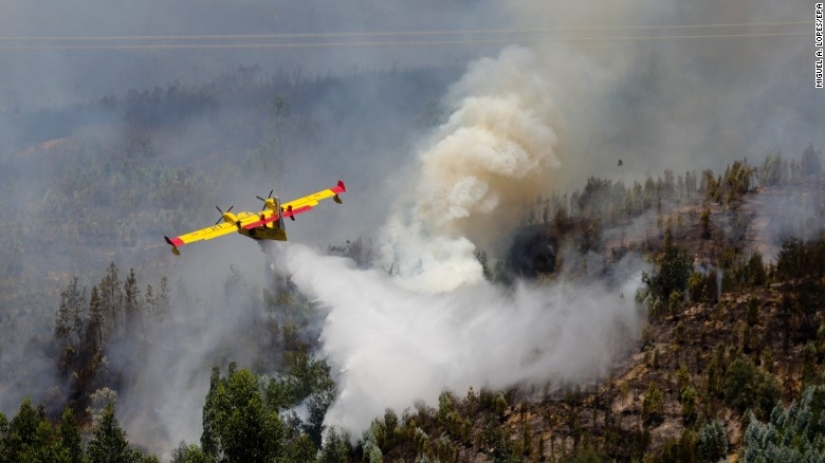 Portugal sufre el mayor incendio de los últimos 50 años Portugal sufre el mayor incendio de los últimos 50 años