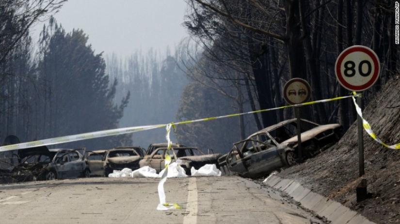 Portugal sufre el mayor incendio de los últimos 50 años Portugal sufre el mayor incendio de los últimos 50 años
