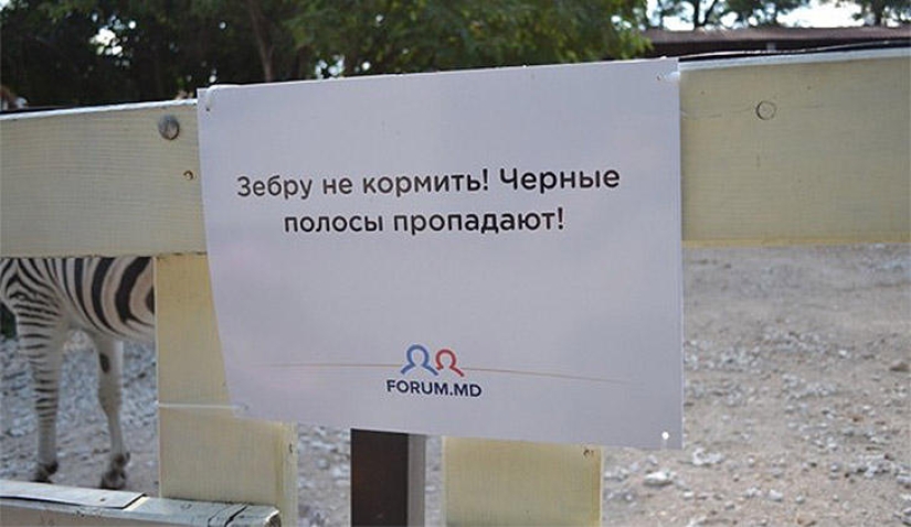 Positive from the zoo Positive from the zoo