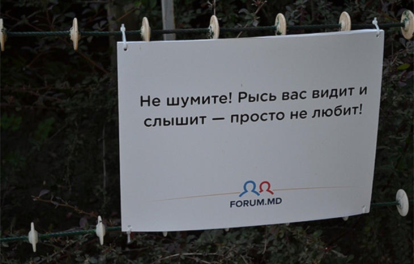 Positive from the zoo Positive from the zoo