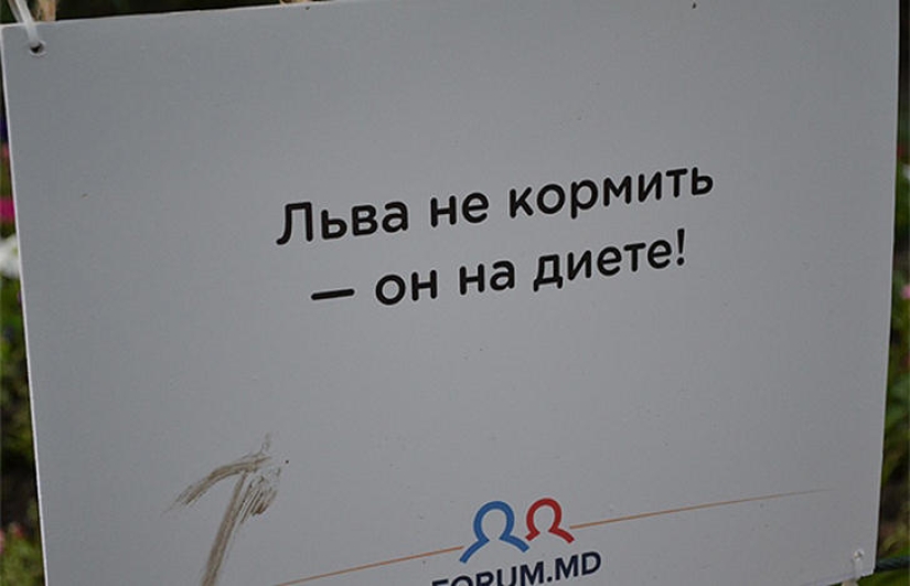 Positive from the zoo Positive from the zoo