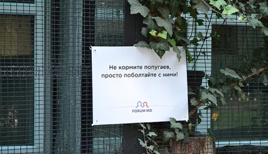 Positivo del zoológico