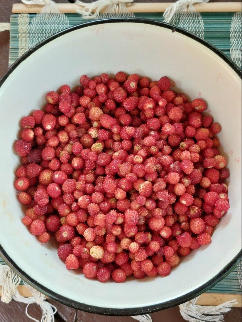 Post A Picture Of Your Favorite Thing Related To Summer