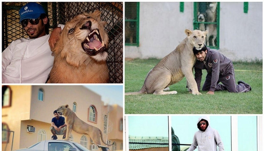 Predatory cats and expensive cars: the leisure of an Arab millionaire