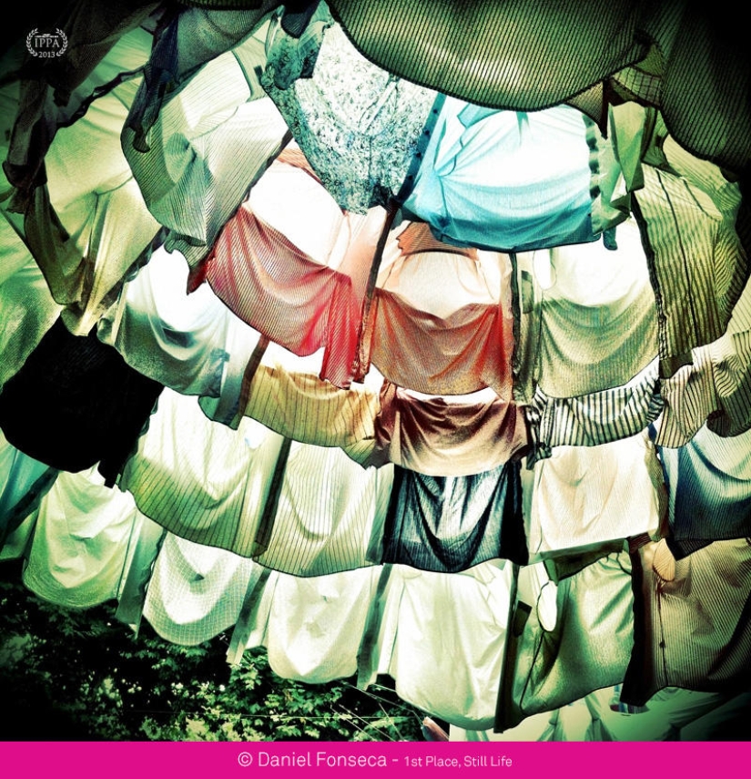 Premios de fotografía iPhone 2013 Premios de fotografía iPhone 2013