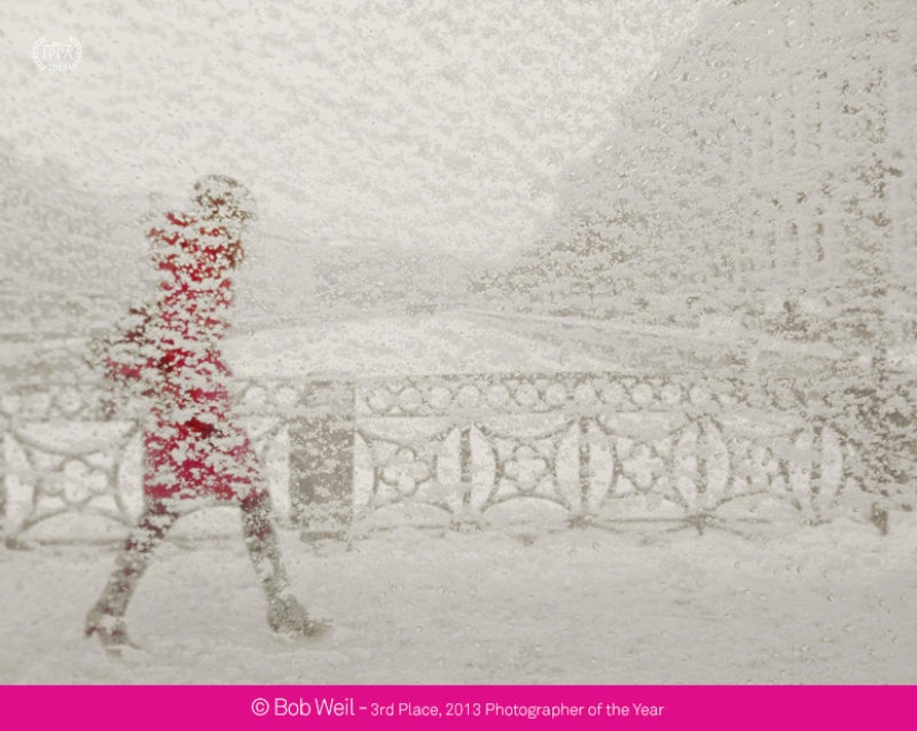 Premios de fotografía iPhone 2013 Premios de fotografía iPhone 2013