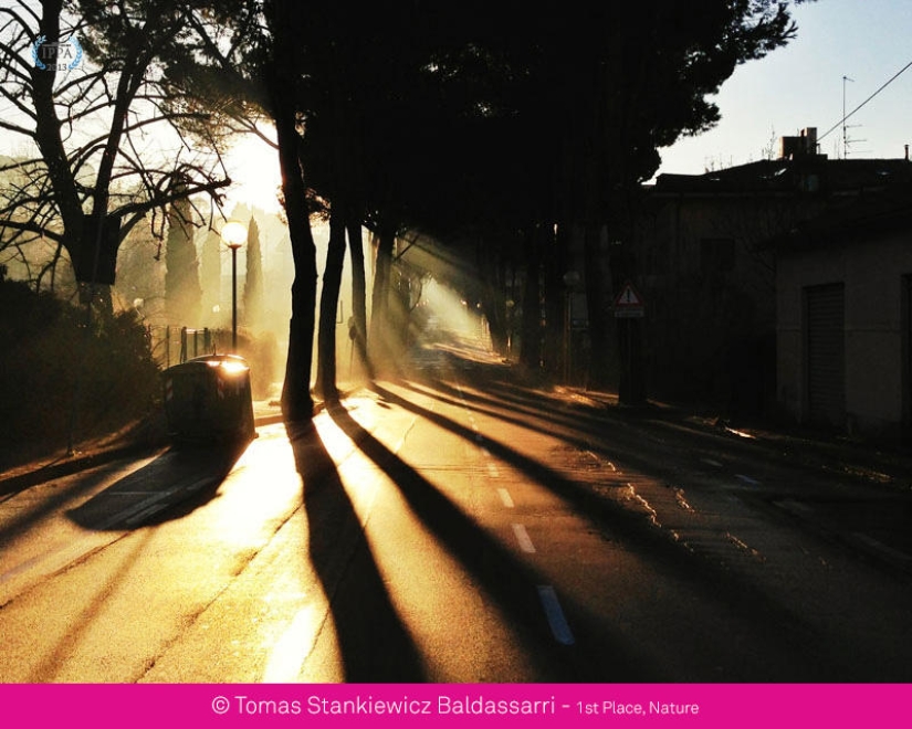 Premios de fotografía iPhone 2013 Premios de fotografía iPhone 2013