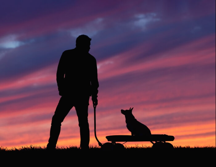 Premios internacionales al fotógrafo de mascotas del año: 15 mejores imágenes de 2023 Premios internacionales al fotógrafo de mascotas del año: 15 mejores imágenes de 2023