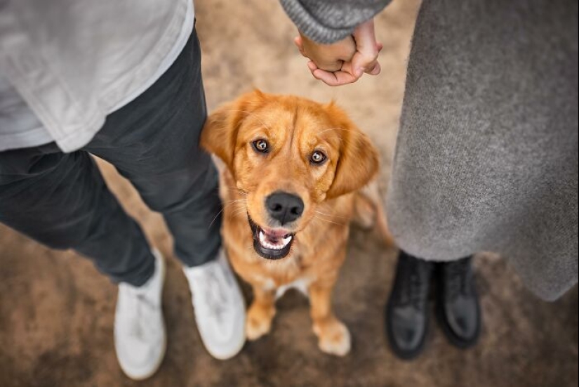 Premios internacionales al fotógrafo de mascotas del año: 15 mejores imágenes de 2023 Premios internacionales al fotógrafo de mascotas del año: 15 mejores imágenes de 2023