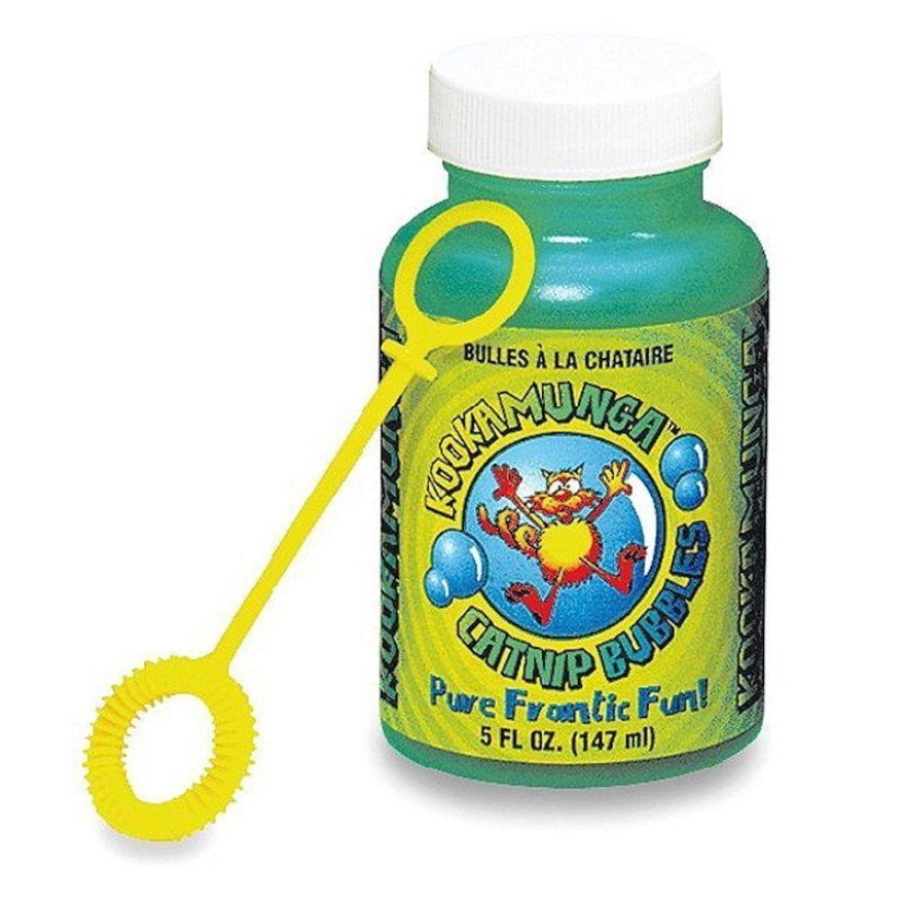 Productos raros para gatos